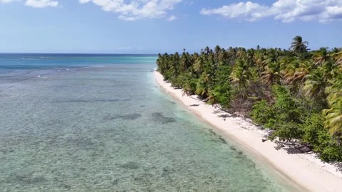 Drone view of Pigeon Point beach in Tobago island, Trinidad and Tobago Vídeo Stock 336695910