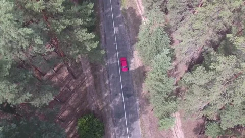 Drone view on the pine trees, red car drives along an old road in a pine forest Stock Footage 160207371