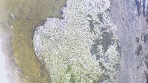 Drone View of Polluted Concrete Canal with Stagnant Water and Algae Bloom Видео 307938484