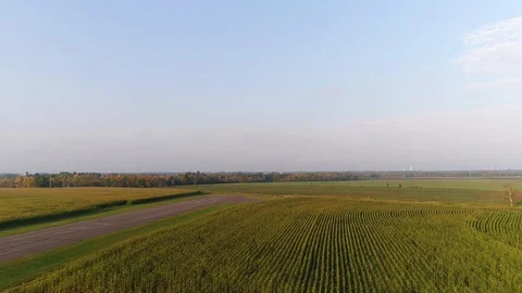 Drone View of Private Passenger Jet Landing in Regional Airport Stock Footage 100010544
