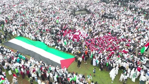 DRONE VIEW Pro-Palestine In MONAS, JAKARTA Stock Footage 255221939
