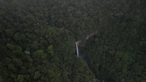 Drone view of Quebrada Gata waterfall on river Rio Toro in Costa Rica Stock Footage 330215015