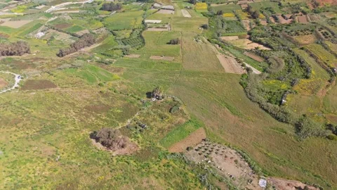 Drone view of Ramla Bay in Gozo showing rural coastline, terraced fields and Stock-Footage 336505022