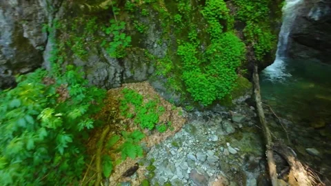 Drone view  of Raysko Praskalo, "Heavenly Spray" - the highest waterfal Stock-Footage 282822125