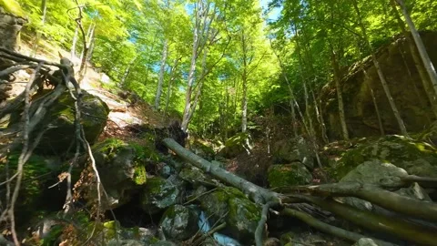 Drone view  of Raysko Praskalo, "Heavenly Spray" - the highest waterfal Stock-Footage 284002000