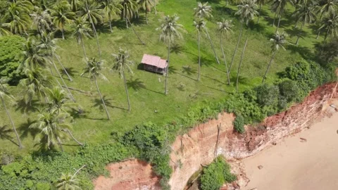 Drone view of the red cliff with lonely hut surrounded by palm trees. Stock Footage 204071025