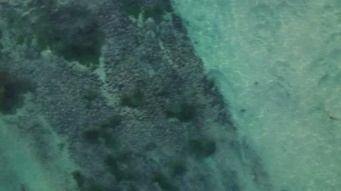 Drone view of reef, carlsbad, oceanside, delmar, la jolla, terramar Stock Footage 221532676