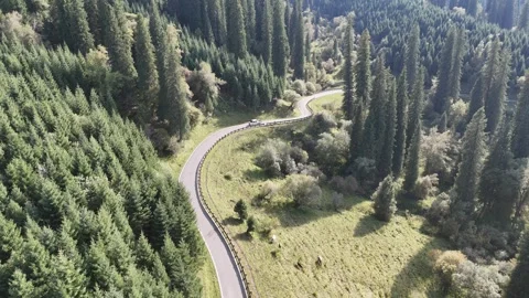Drone View of Remote Road and Bridge in Hejing Xinjiang China Stock Footage 341602058