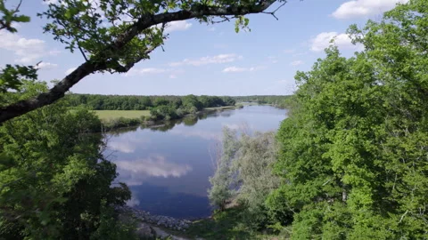 Drone view revelation behind a tree with forward movement Video stock 254113760