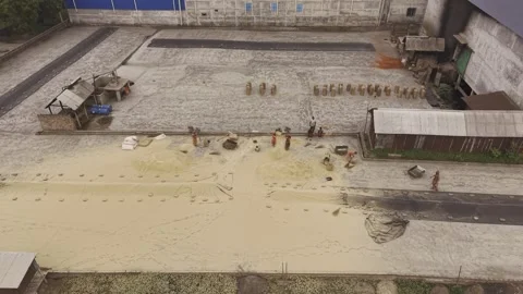 Drone View of Rice Processing Activity in Khajanagar, Bangladesh Stock Footage 337979187