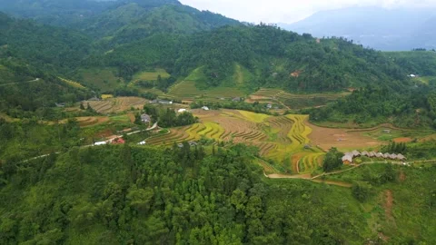 Drone View of Rice Terraces in Mountain Valley of Hoang Su Phi Vietnam Stock Footage 344948730