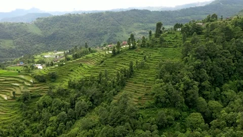 Drone view of rice terraces in a small village in Nepal Vídeo Stock 134581735