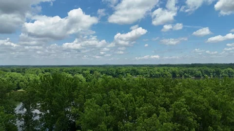 Drone View Rising over Lush Forest and River at Algonkian Regional Park, VA Vidéo 342127777