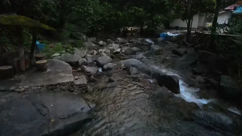 Drone view River and Forest in Selangor Stock Footage 148338219