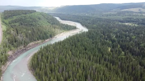 Drone View of River and Forest Video stock 269991830
