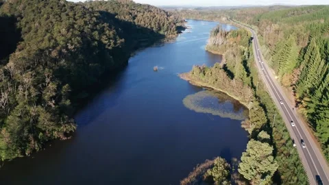 Drone View of River and Road through Dense Forest in Southern Chile Stock Footage 310562473