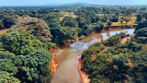 Drone view of a river bend in a forest area early in the morning. Stock Footage 303510747