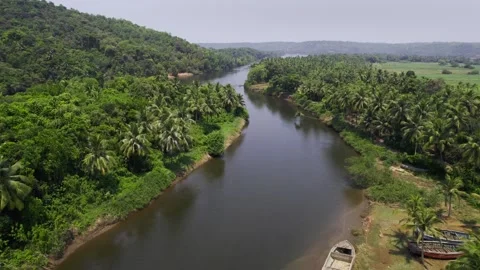 Drone view of a river flowing next to a coconut plantation and forested island Видео 341461812