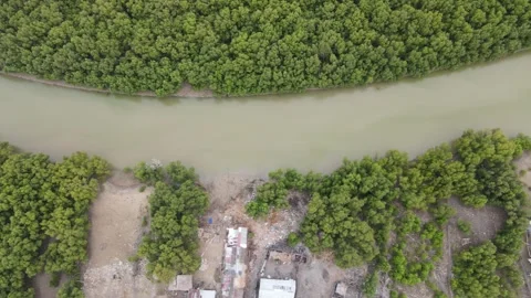 Drone view of a river flowing through a forest in Morondava, Madagascar 動画素材 345218124