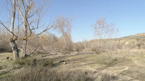 Drone view of a river at low altitude in Madrid, Spain (1) Stock Footage 111953002
