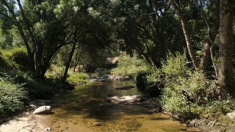 Drone view of a river at low altitude in Madrid, Spain (6) Stock Footage 111989363