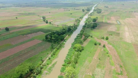 Drone view of river in the middle of green plantation Stock Footage 292611638