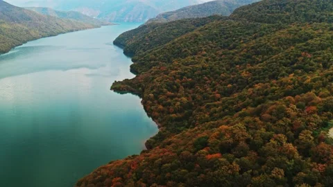 Drone view of the river in the woods. An aerial view of an autumn forest Stock Footage 305605091