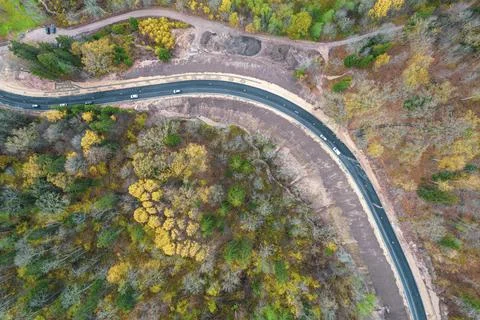 Drone view of road and forest in golden time Stock Photos
