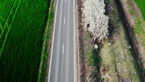 Drone view of a road between green fields Video stock 272993878