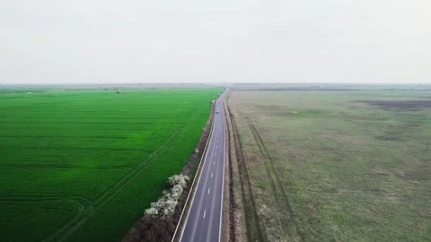 Drone view of a road between green fields Video stock 272994023