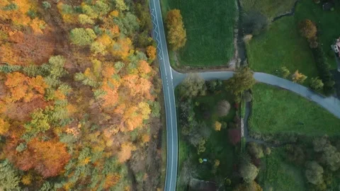Drone view of the road in contryside Stock Footage 223251596