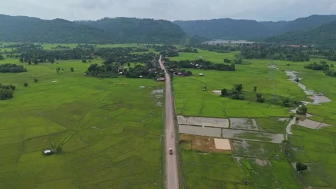 Drone View of Road Crossing Green Rice Paddies in Khammouane, Laos Video stock 330184035