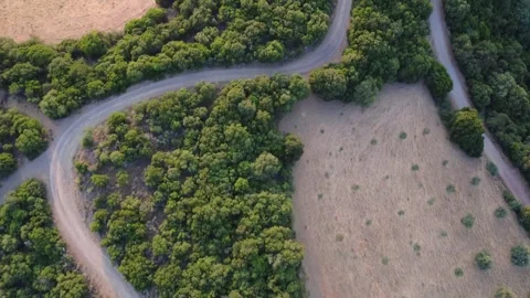 Drone View of Road Cutting Between Mediterranean Forest and Cultivated Land Stock Footage 312073772