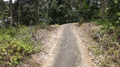 Drone view of road, forest and Farm in Pahang Stock Footage 149110885