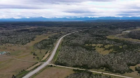 Drone view of road that goes through dead forests on Patagonian plains Stock Footage 255685499