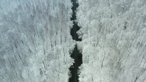 Drone view of a road going through a winter, snow-covered forest Stock Footage 144376527
