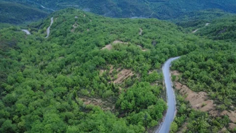 Drone View of Road in Greece Cutting Through Wild Mediterranean Trees Stock Footage 312073659
