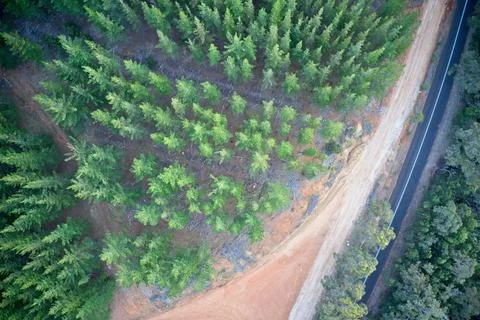 Drone view of road intersecting forest Balingup, Western Australia. Stock Photos