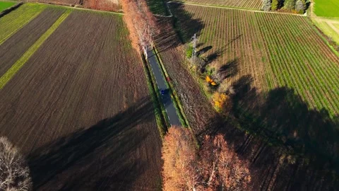 Drone view of a road slicing through autumn fields Stock Footage 259295736