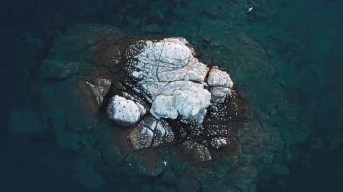 Drone view of rock in the middle of the ocean with seagulls flying and nesting. Stock Footage 118246079