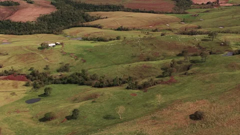 Drone View of Rolling Farmland and Pasture Hills Stock-Footage 336335975