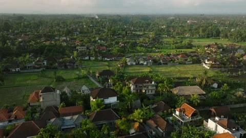 Drone view of rooftops in Ubud, Bali, Indonesia. Top view Video stock 236630755