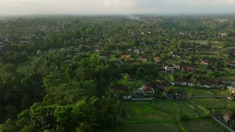 Drone view of rooftops in Ubud, Bali, Indonesia. Top view Stock Footage 236630965