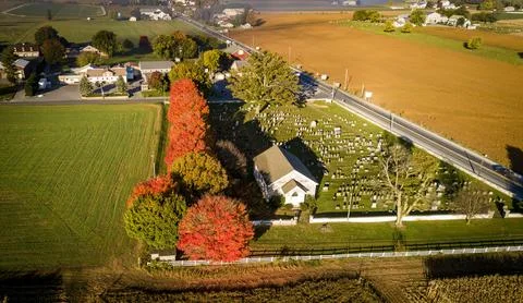 Drone View of a Row of Trees with Fall Bright Colors on a Early Morning Sunri Stock Photos