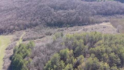 Drone view of rural fields with forest and hills landscape Vídeo Stock 330768963