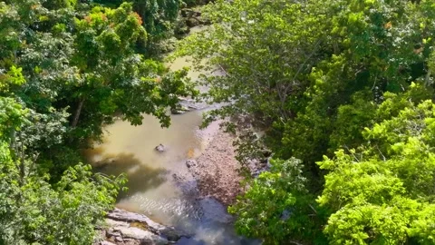 Drone view of a rushing mountain stream flowing through a dense forest. 스톡 동영상 347711880