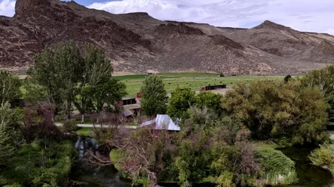 Drone View of Rustic Cabin by Mountain Creek With Cattle Grazing Meadows Video stock 340353819