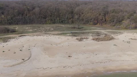 Drone view of sandy beach and forest during autumn season Stock Footage 320990311