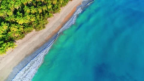 Drone view of sandy beach with blue ocean waves and green palm trees. Stock Footage 314461300