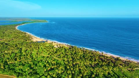 Drone view of sandy beach with coconut palms and blue ocean on paradise island. Stock Footage 318235744